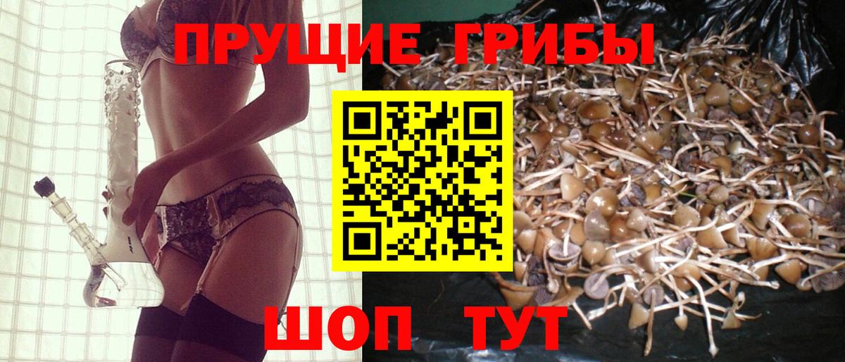 Галлюциногенные грибы Magic Shrooms  Галлюциногенные грибы GOLDEN TEACHER  Вход с VPN  Лесозаводск 